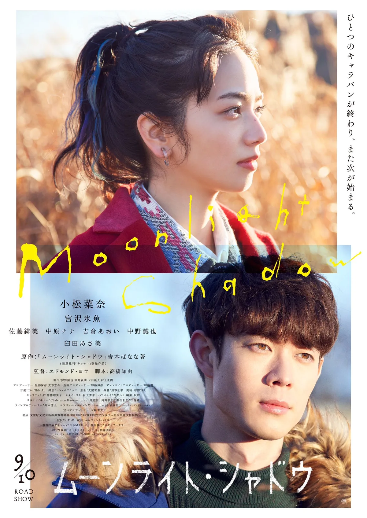 Promotional poster for the film Moonlight Shadow