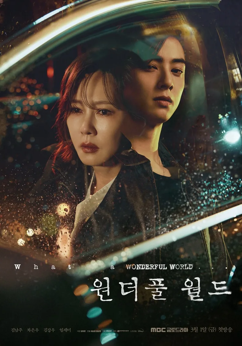 Promotional poster for the drama Wonderful World
