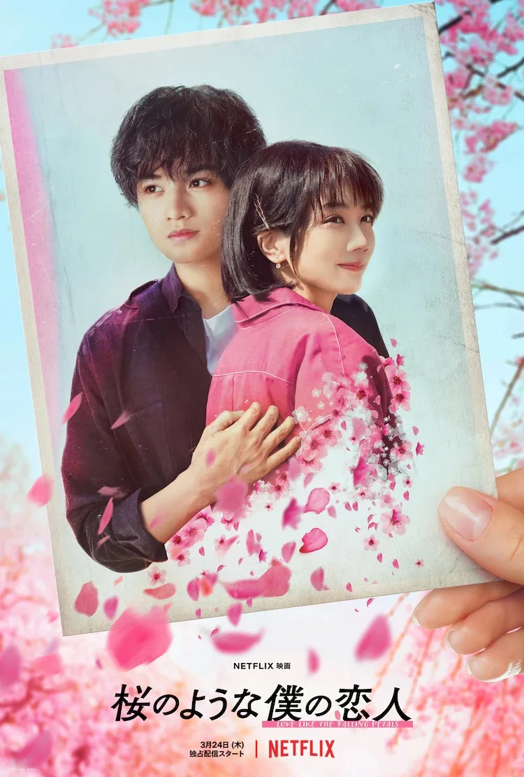 Promotional poster for My Dearest, Like a Cherry Blossom
