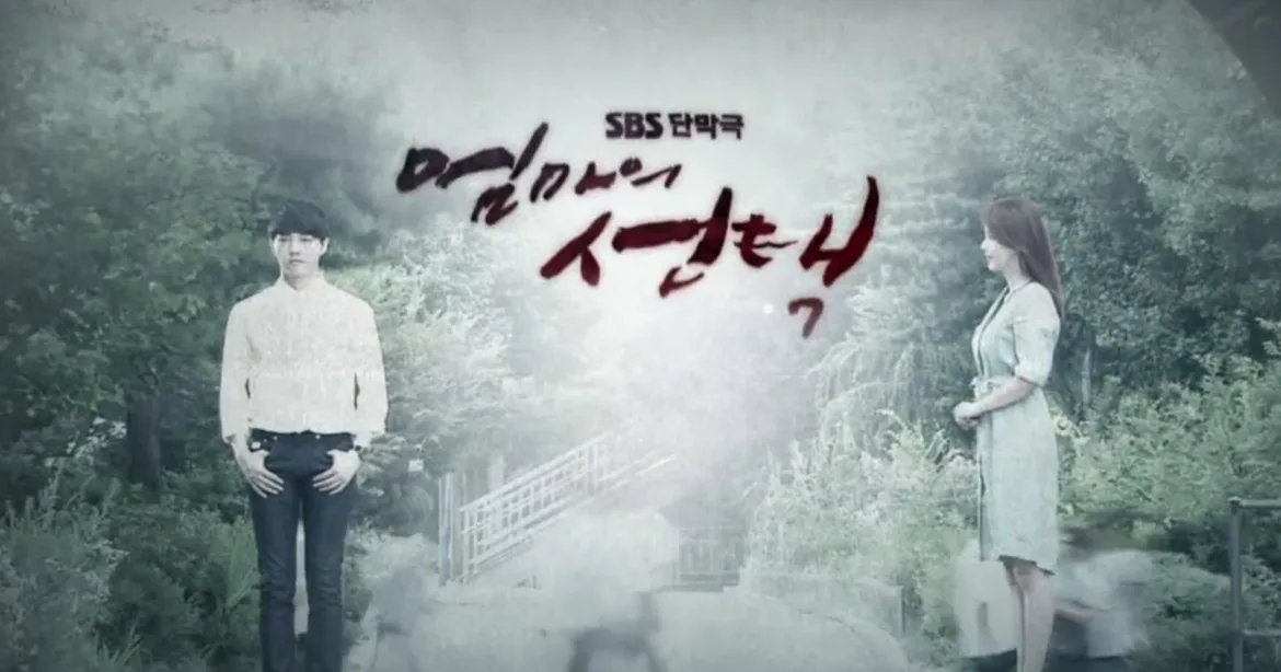 Promotional poster for the television drama Mother's Choice