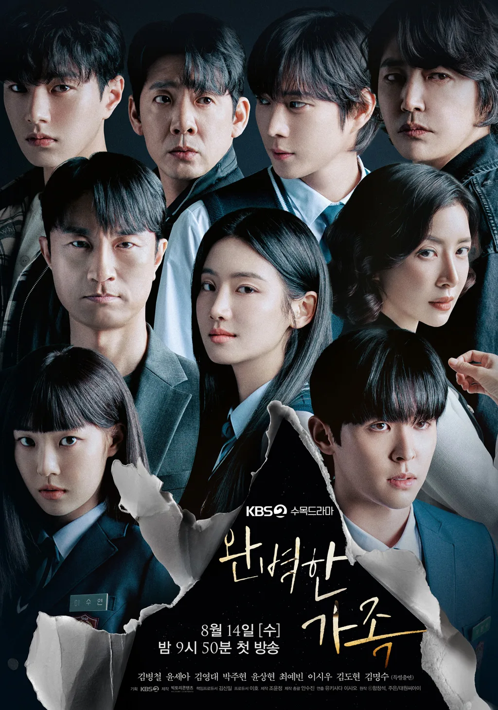 Promotional poster for Perfect Family