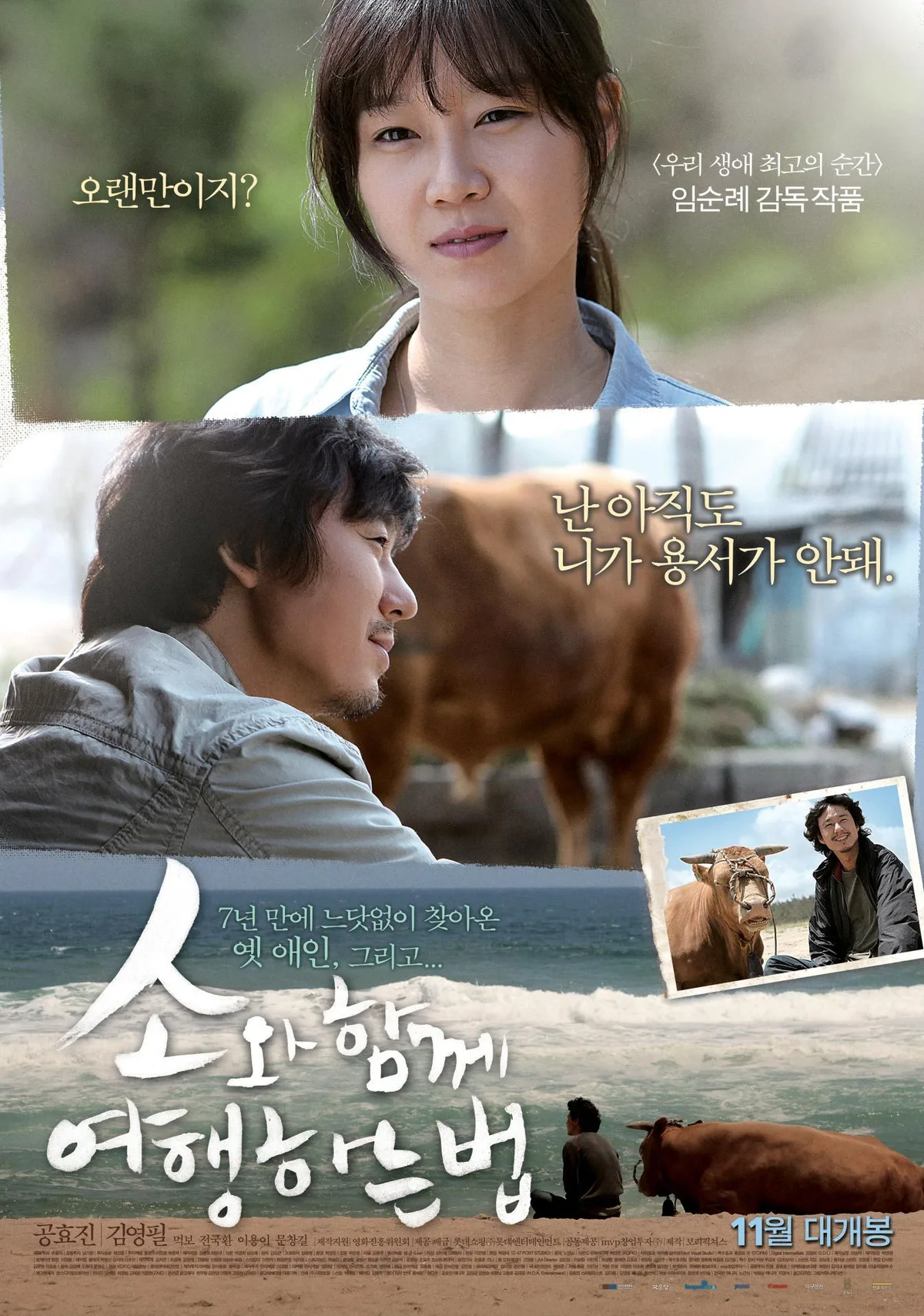 Promotional poster for Rolling Home with a Bull