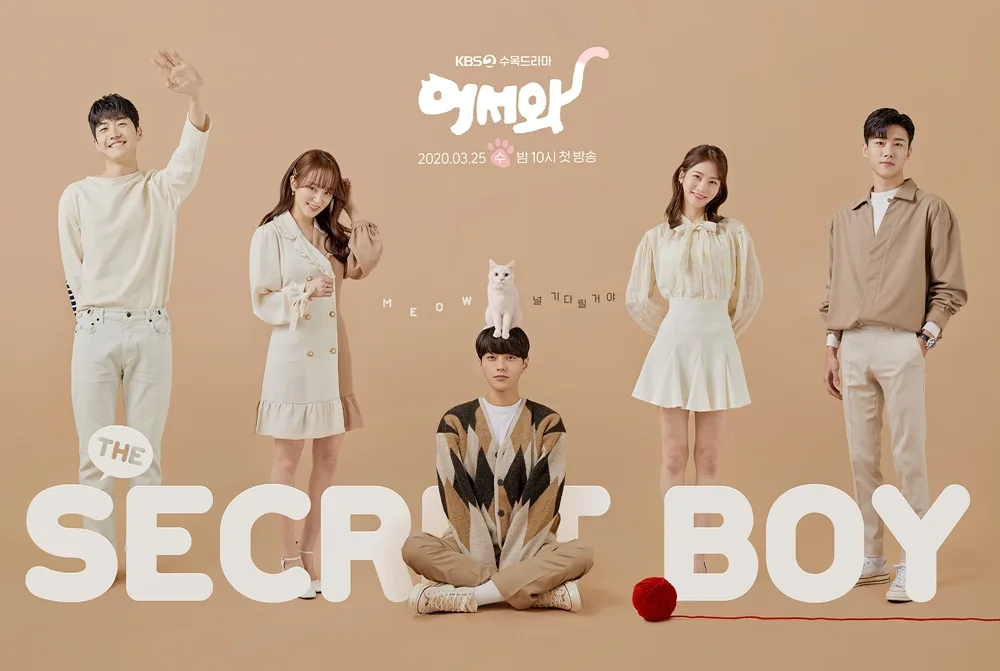 Promotional poster for Meow: The Secret Boy