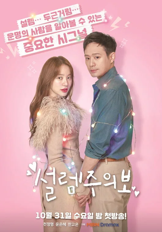 Promotional poster for the drama series Love Alert