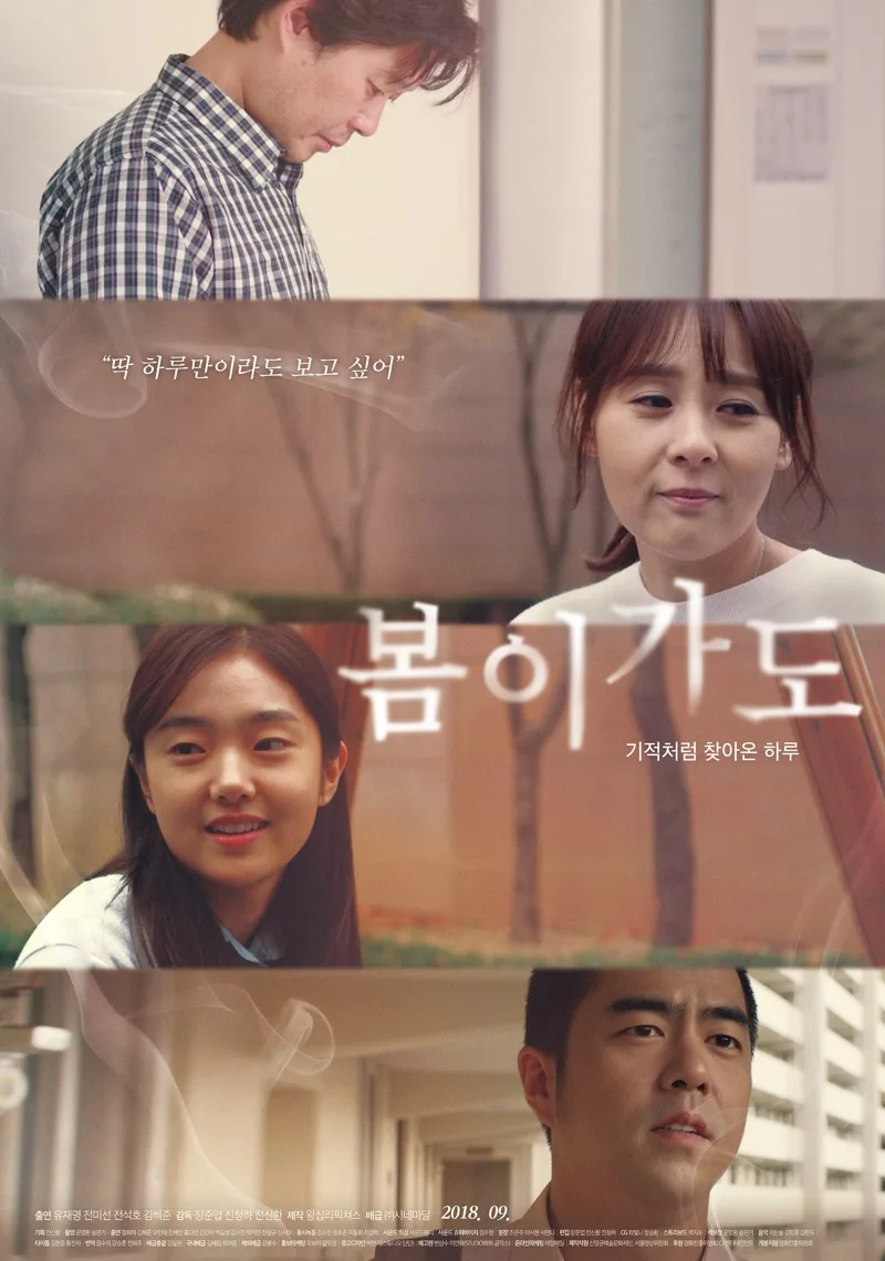 Promotional poster for the film After Spring