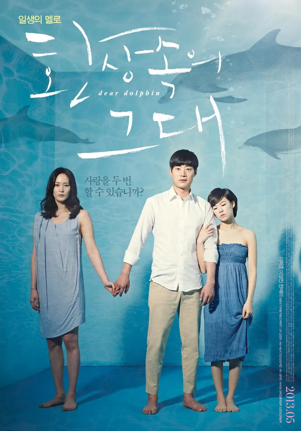 Promotional poster for the film Dear Dolphin