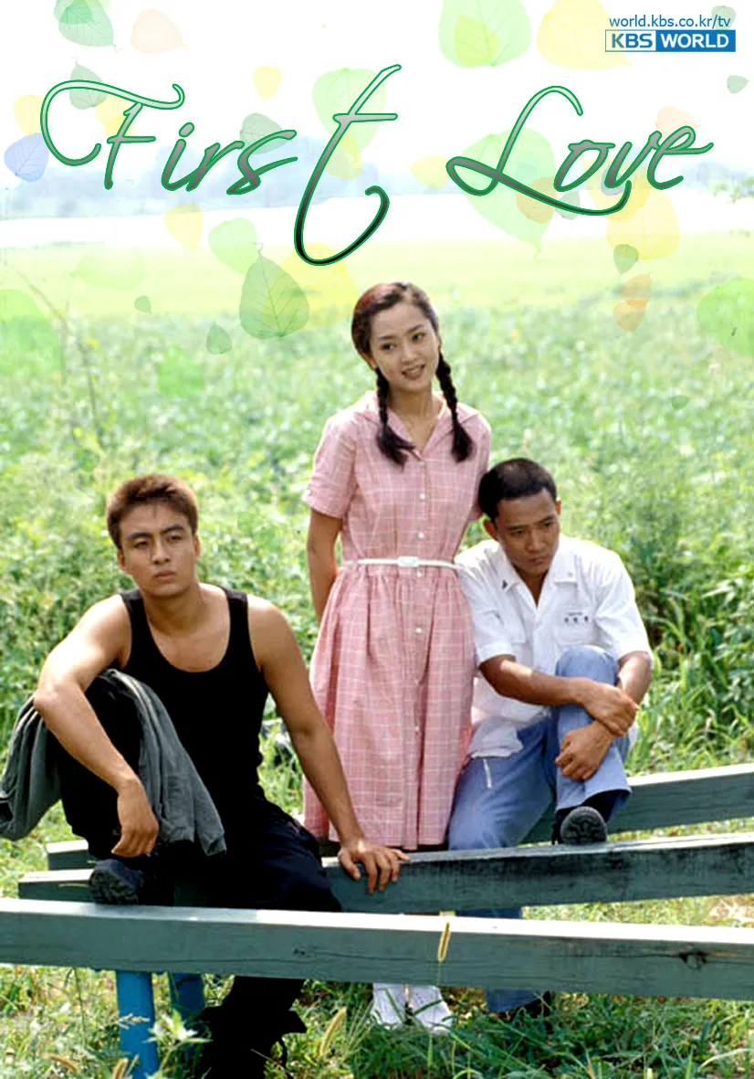 Promotional poster for the 1996 television series First Love