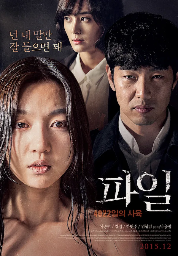 Promotional poster for the film The File