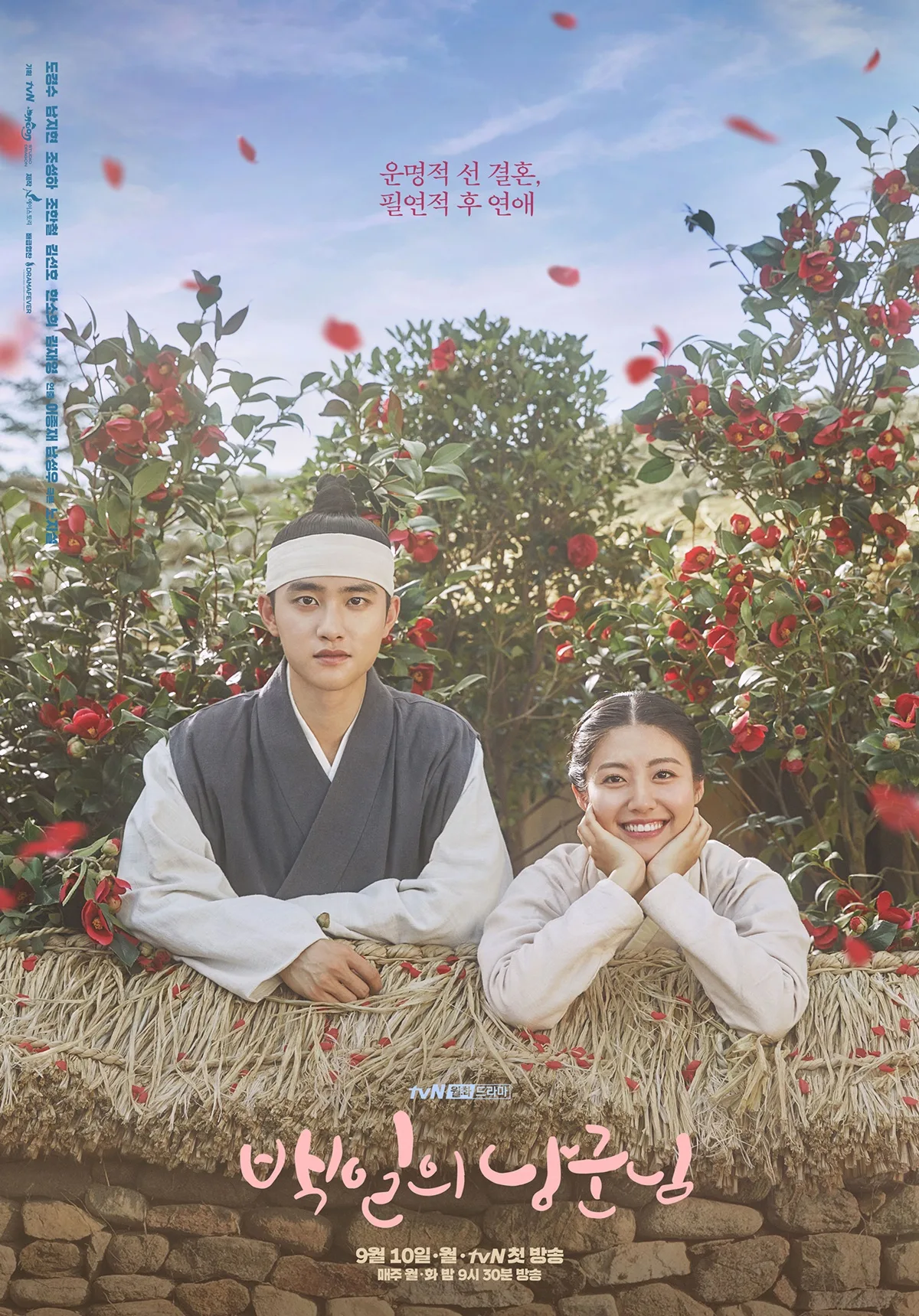 Promotional poster for 100 Days My Prince