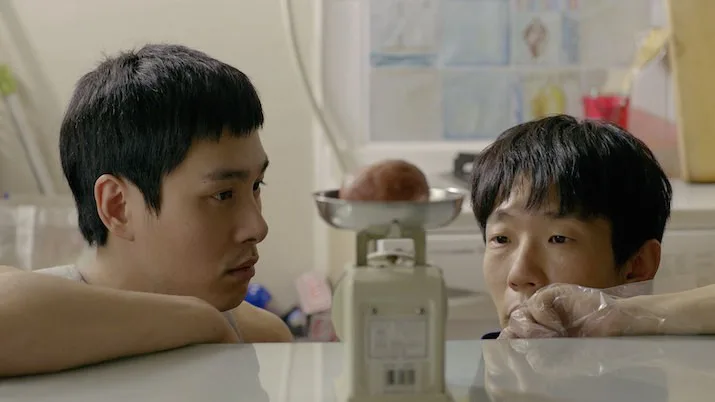 Scene from the film Koala