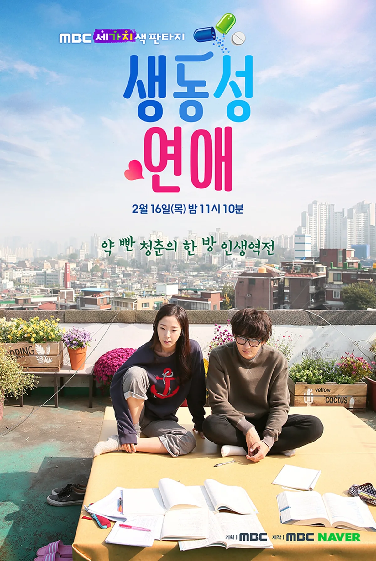 Promotional poster for Romance Full of Life