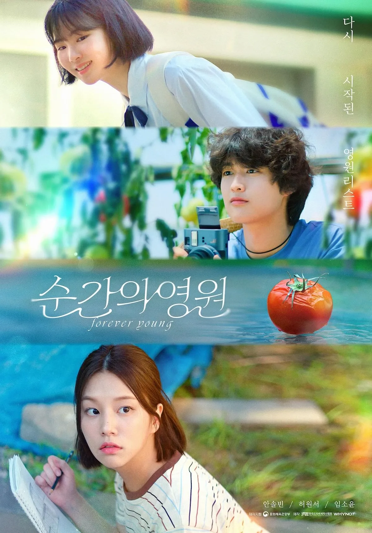 Promotional poster for Forever Young