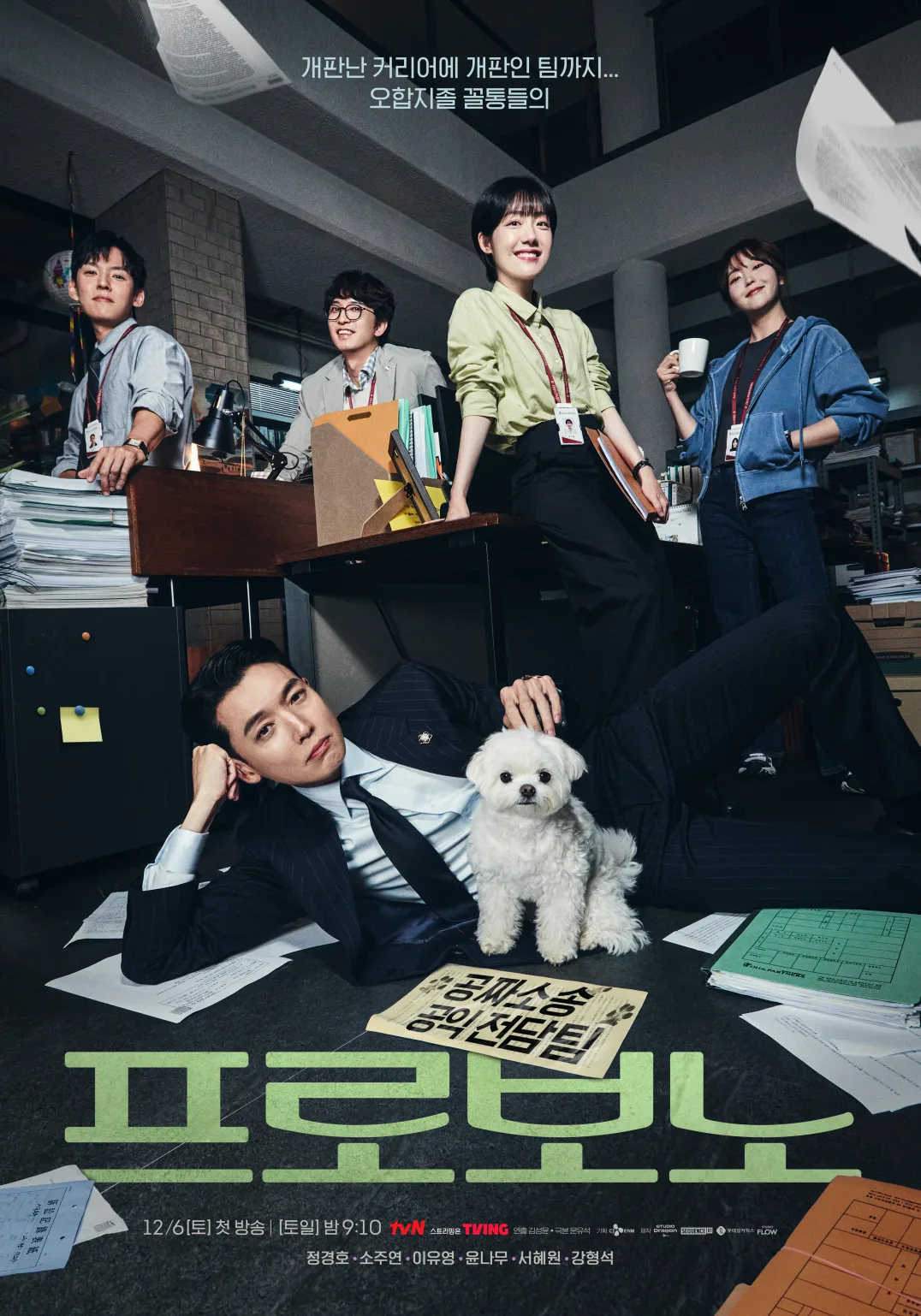 Promotional poster for the television series Pro Bono