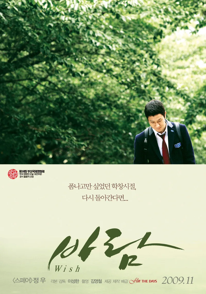 Poster for the film Wish