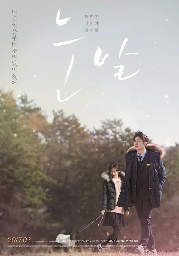 Promotional poster for the film A Stray Goat