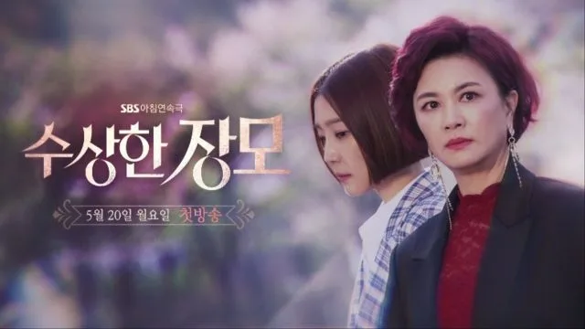 Promotional poster for Shady Mom-in-Law