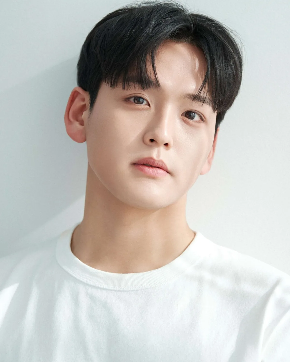 Portrait of South Korean actor Im Jin-Seop