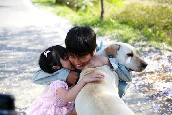 Scene from Hearty Paws
