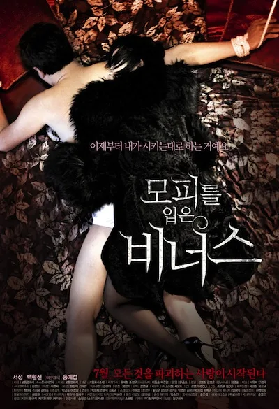 Promotional poster for the film Venus in Furs