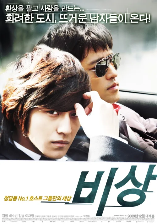 Promotional poster for the film Fly High
