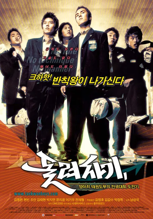 Promotional poster for the film Spin Kick